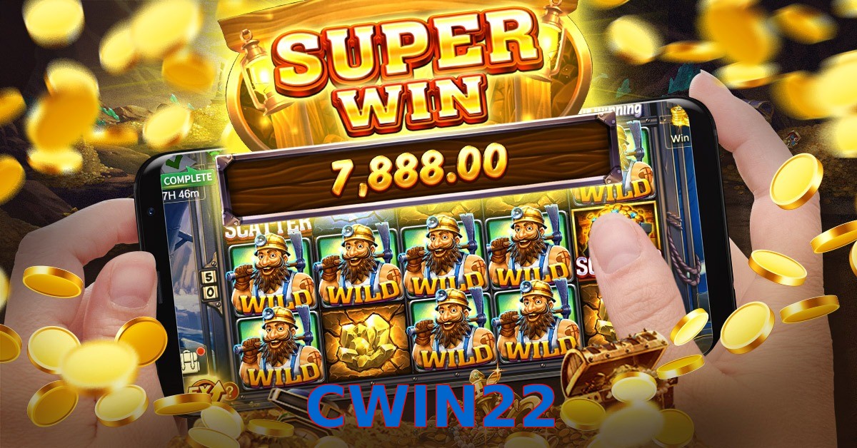 CWIN22