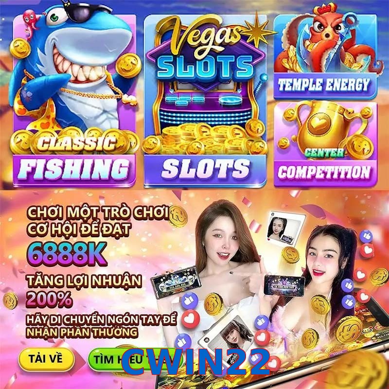 CWIN22