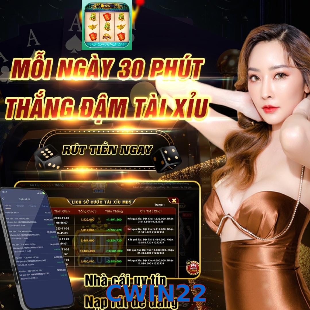 CWIN22