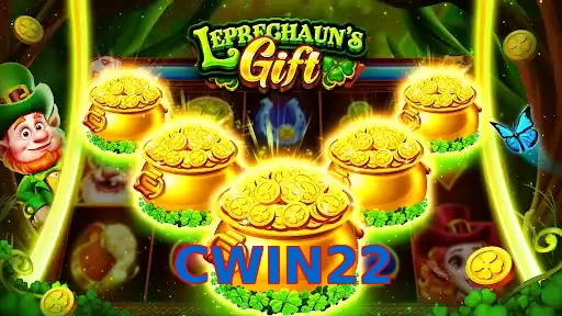 CWIN22