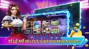 CWIN22