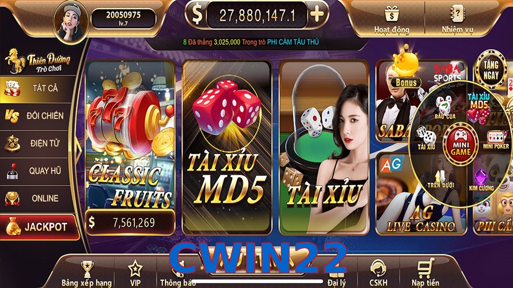 CWIN22