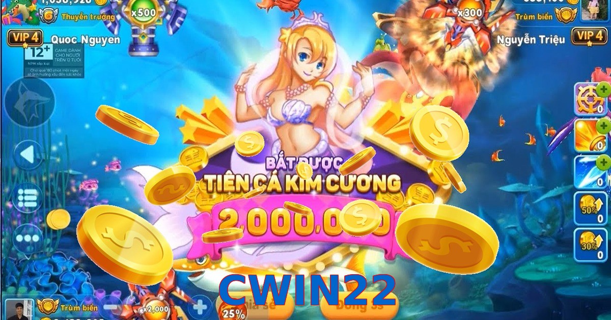 CWIN22