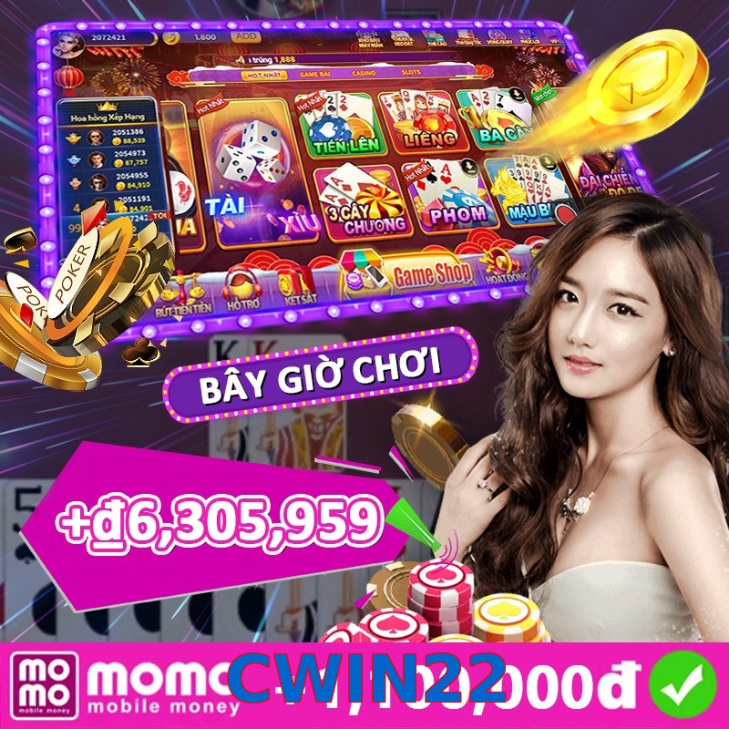 CWIN22