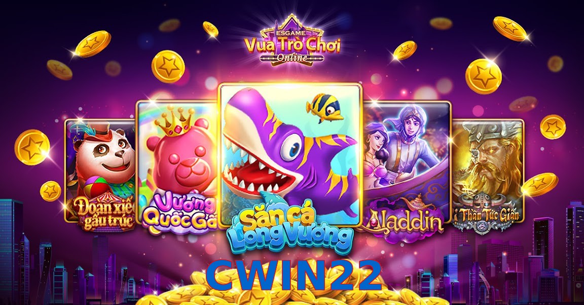 CWIN22
