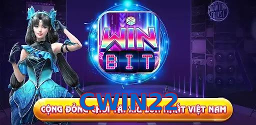 CWIN22