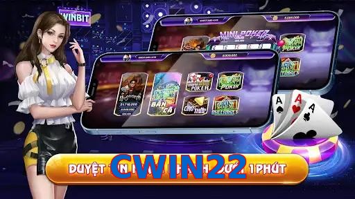 CWIN22