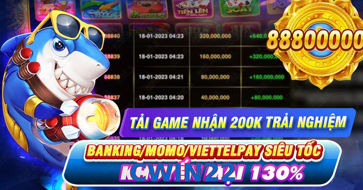 CWIN22