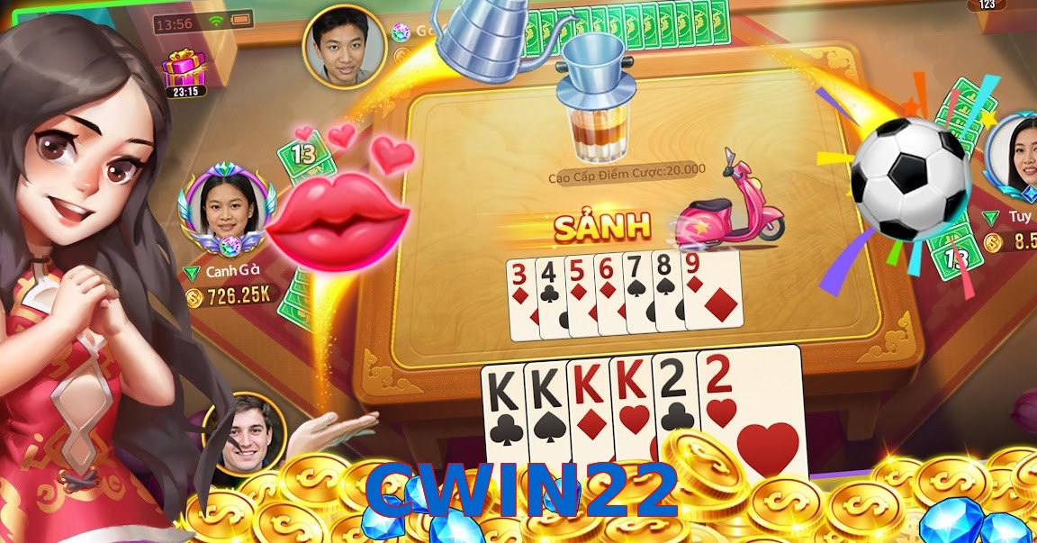 CWIN22
