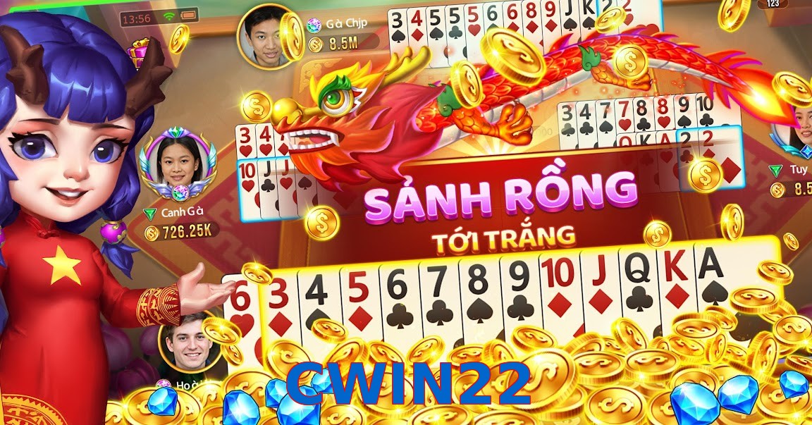 CWIN22