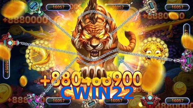 CWIN22