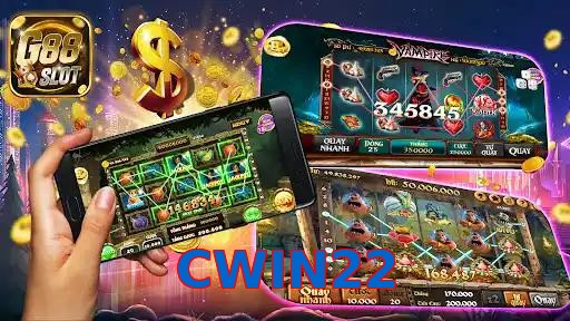 CWIN22