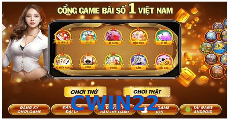 CWIN22