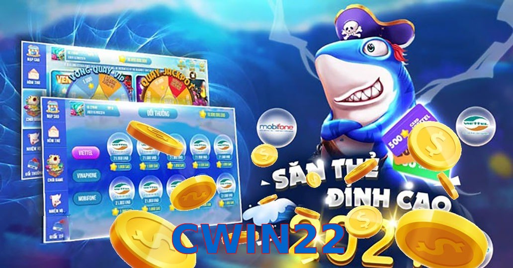 CWIN22