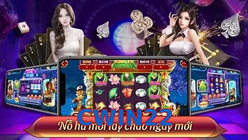 CWIN22