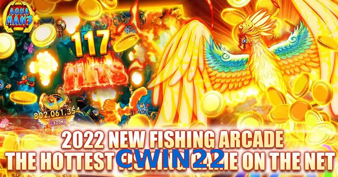 CWIN22