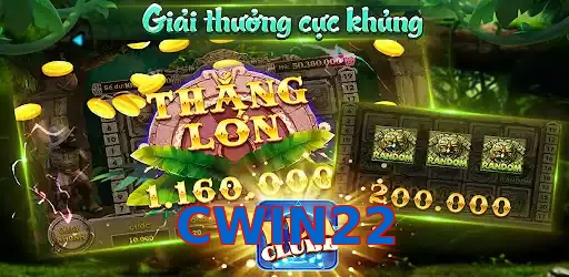 CWIN22