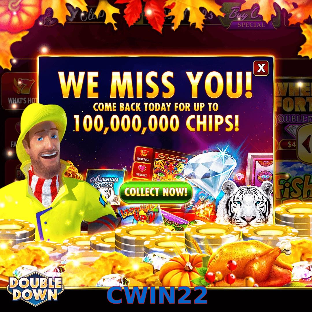 CWIN22
