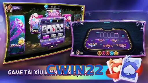CWIN22