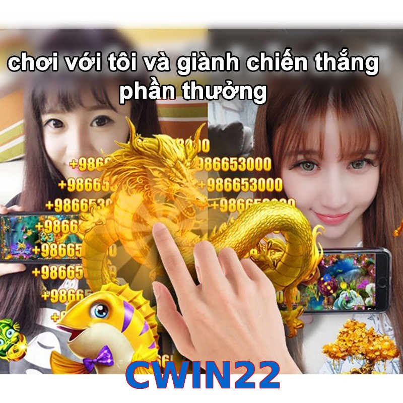 CWIN22