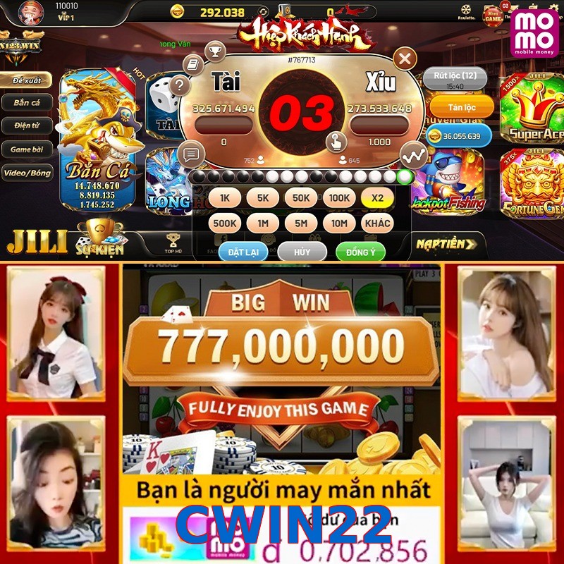 CWIN22