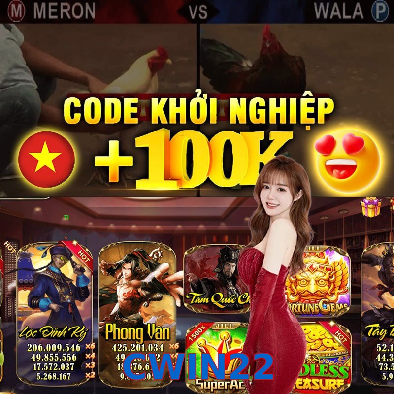CWIN22