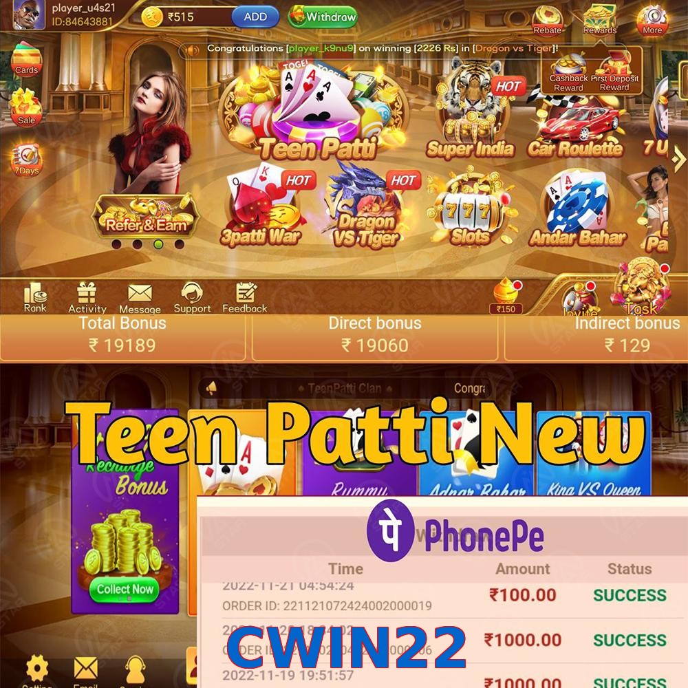 CWIN22
