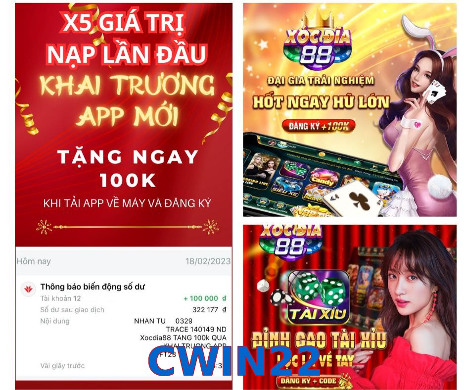 CWIN22